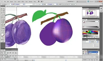 Lecția pentru urmărirea manuală adobeillustrator