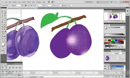 Lecția pentru urmărirea manuală adobeillustrator