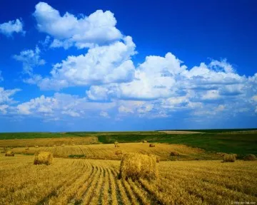 методи на продажба, не са предназначени земя и сгради