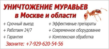 Средствата от дома на мравки изберат най-ефективните в апартамента