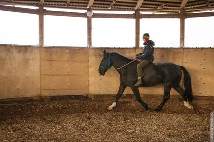 Riding Bareback, o călătorie fără sfârșit