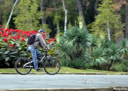 Biciclete în nici - nici o zi fără o bicicletă, versiunea mobilă