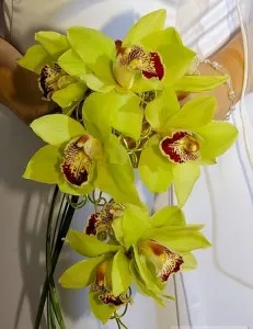 Alegerea unui buchet de mireasa de orhidee