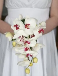 Kiválasztása egy esküvői csokor orchidea