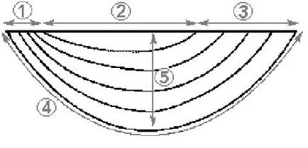 Pattern SMAD asimetric