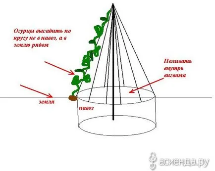 Wigwam краставица (за силни растящи, dlinnopletistyh сортове) блог kudesnitsa-Ница