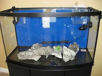 Vízmelegítő az akvárium felmérés típusú, a használati utasítást és a visszacsatolás