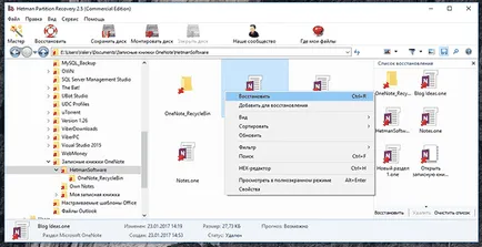 Recovery OneNote notebook és jegyzetek