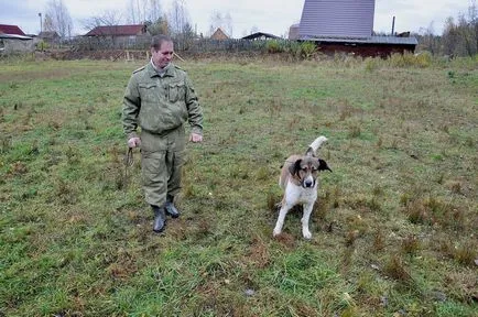 Kutya oktatás Denis Petelin „többnyire a problémák nem annyira a kutyák, hány a tulajdonosok