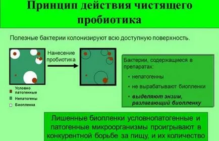 Хроничната инфекция в мъже, симптоми и лечение