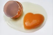 Egg диета мнения и резултати Меню