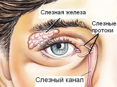 Блокирани слъзния канал причини, симптоми, диагностика, лечение, за възрастни и деца