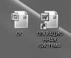 Insigne și etichete - Windows Vista