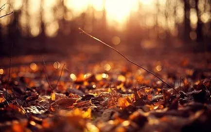 Златна есен на живота