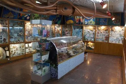 Zoológiai Múzeum Samara