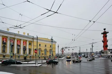 Zoológiai Múzeum St. Petersburg