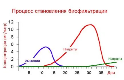 Аквариум, азотни и азотни съединения в аквариум