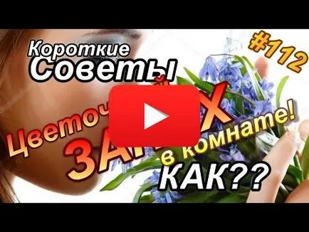 7 Въпроси към Чийзкейк, съвети