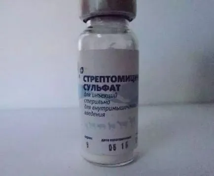 Streptomycin állat használati utasítást, leírás és értékelés