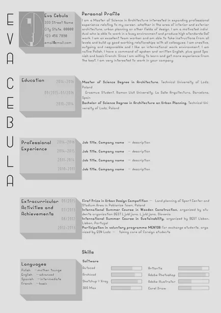 Revista Strelka - un exemplu de urmat CV Arhitect