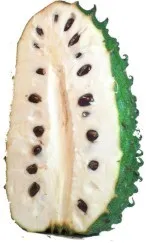 Annona (guanabana)