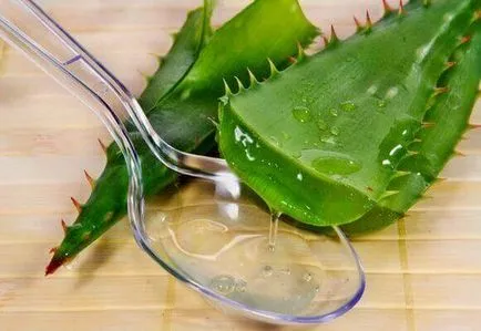 Aloe hideg receptek