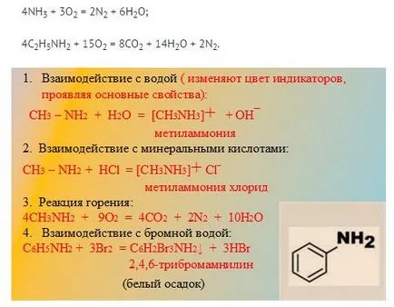 Амини (Chemical клас 10)