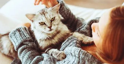 Tudja, hogyan kell kezelni allergiás a macskákra egészségügyi beállítás