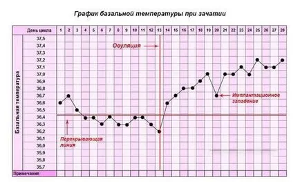 Temperatura bazală și schimbarea ei