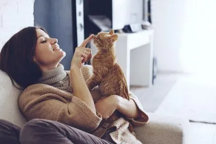 Знаете ли как да се справят с алергия към котки настройка здраве