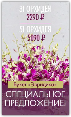 Csokor, Dendrobium és szépségápolás eustoma - vásárolni, melynek ára 3890 rubel