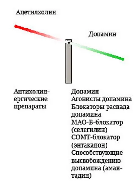 Болест на Паркинсон (синдрома на Паркинсон) - описание причина, продължителност на живота, преминал