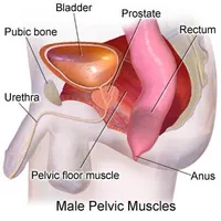 Ce trebuie să știți despre nolitsin și caracteristicile cererii sale de prostatita