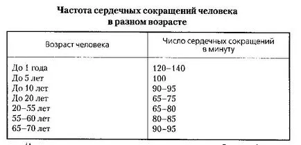 Сърдечният ритъм и пулс разликата, което определя сърдечната честота, как и къде се измерва, скоростта на сърдечната честота - Здравна информация