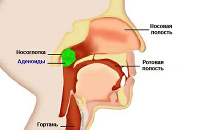 Това би трябвало да даде на бебето от годината на лекарства за кашлица и рецепти