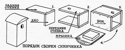 Ние sinichnik за зимата