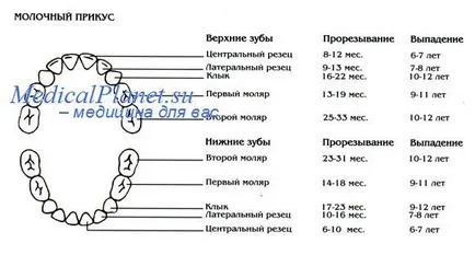 Деформацията на челюстите