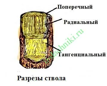 Предимства и недостатъци на дървесината като строителен материал