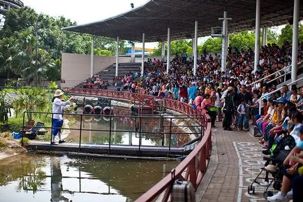 Lume de vis (lume de vis) - vis Park din Bangkok