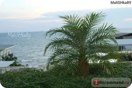 D varee Jomtien Beach Pattaya 4, Thaiföld, Pattaya - „Thaiföldön, egy paradicsom a kényszeres! Mit kell hozni