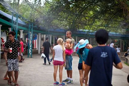 Lume de vis (lume de vis) - vis Park din Bangkok