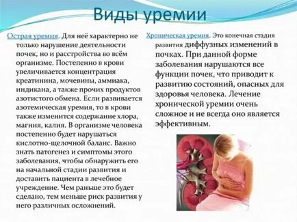 Отделителната бъбречна функция (нарушена отделителната система)