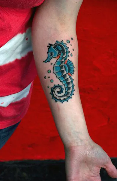 Fotók és érték csikóhal tetoválás