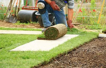 Lawn az országban, hogyan lehet a zöld gyep, saját kezével