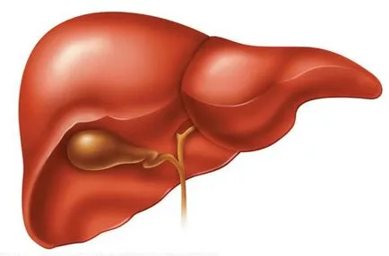 Hepatotoxicitate la pisici prezentare generală a bolii