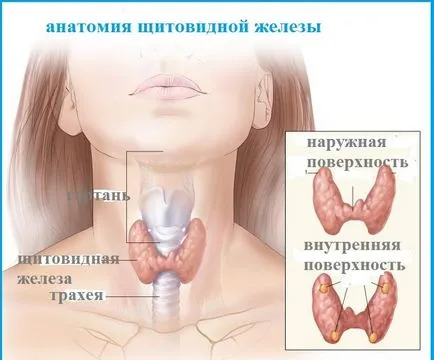 Обобщена хиперхидроза (споделени) причини и лечение