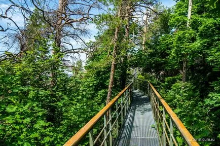 munte Strelna, Mount Camel, Samarskaya Luka, Munții Zhiguli