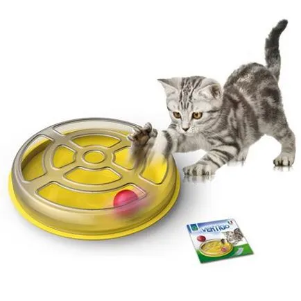 Jucărie pentru pisici urmări cu două bile