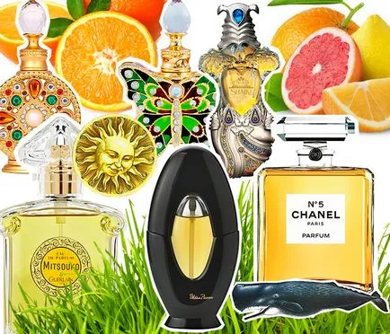 Вярно или невярно митове и истината за парфюми, красота-блог онлайн магазин