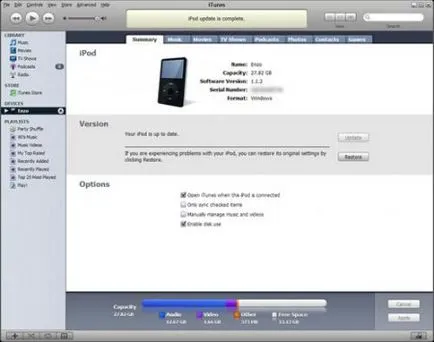 Itunes pentru iPod